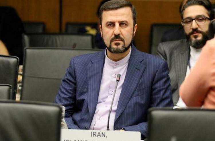 سفر فروتا، در چارچوب تعاملات و همکاری‌های معمول ایران و آژانس صورت پذیرفت