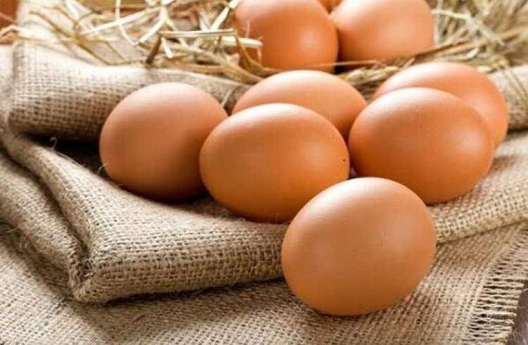 قیمت تخم مرغ همچنان در سراشیبی ارزانی