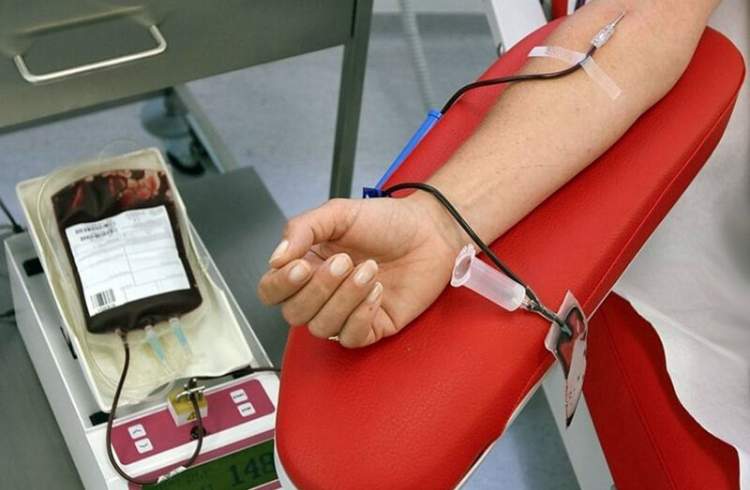 خون اهدائی ایرانیان سالم‌ترین خون اهدایی دنیاست