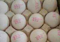 درج تاریخ غیر واقعی روی تخم‌مرغ تخلف است