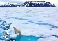 رکورد بی سابقه ترین گرمای هوا در قطب جنوب
