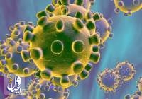 درباره کرونا ویروس جدید بیشتر بدانید  