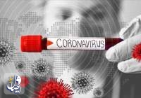افزایش آمار مبتلایان کرونا ویروس کویید 19 در ایران به 245 نفر