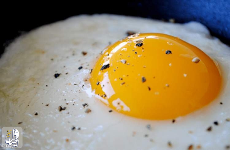 رابطۀ معناداری بین مصرف روزانه تخم مرغ و بیماری های قلبی عروقی وجود ندارد