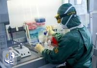 شمار مبتلایان به ویروس کرونا در روسیه به 147 مورد افزایش یافت