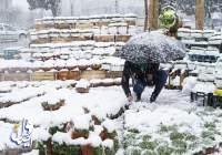 بارش برف و باران در ۱۳ استان در ایام نوروز