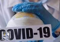 شمار مبتلایان به کووید-۱۹ در جهان، فقط در یک روز ۳۵ هزار نفر افزایش یافت