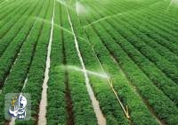 الزامات تحقق «جهش تولید» در بخش کشاورزی