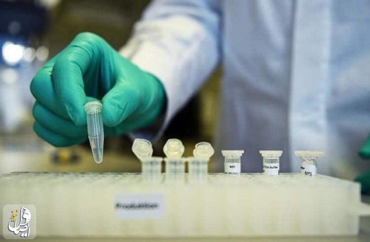 آزمایش موفقیت آمیز واکسنی که کروناویروس را دست‌کم یک سال خنثی می‌کند