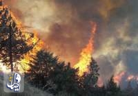 هشدار سازمان جنگل‌ها درباره پتانسیل بالای وقوع آتش‌سوزی در جنگل‌های شمال