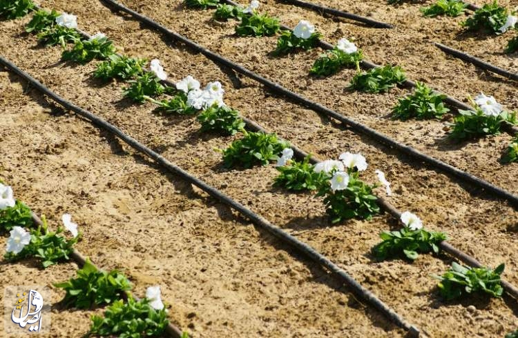 ‌هزار هکتار زمین کشاورزی در شهرستان اردستان به سیستم آبیاری نوین مجهز شد