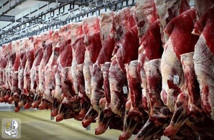 کاهش ۲۰ هزار تومانی قیمت گوشت گوسفندی