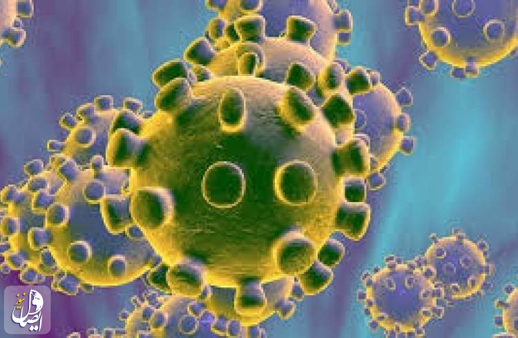 دانشمندان انگلیسی: عمر ویروس کرونا در سرما ۱۰ برابر می‌شود