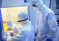 پژوهشگران ژاپنی: ویروس کرونا جهش ژنتیکی داشته است