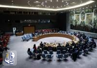 درخواست آمریکا برای بازگشت تحریم‌های ایران، توسط رئیس شورای امنیت رد شد