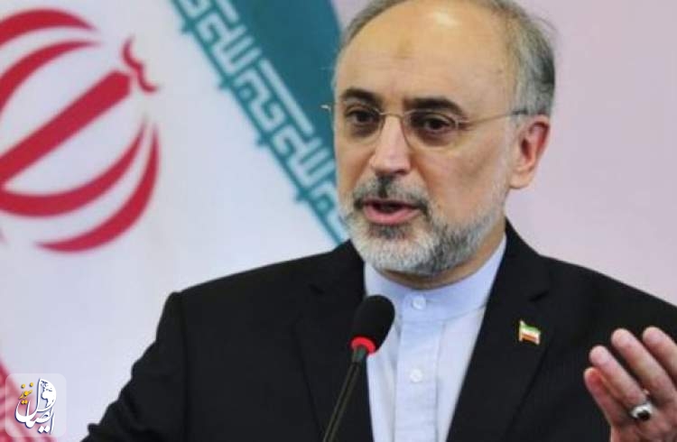 صالحی: ایران به تنهایی ۲۲ درصد از کل بازرسی های آژانس را در سطح جهانی دریافت می کند