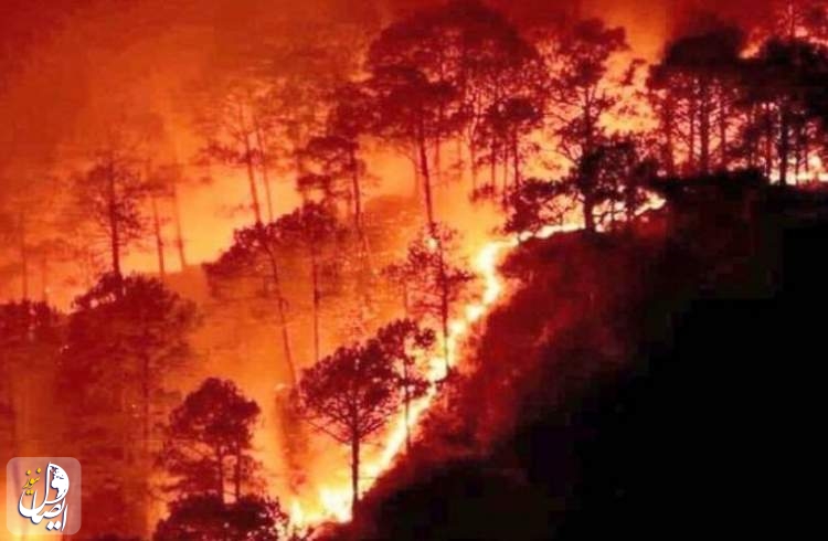 آتش سوزی گسترده، جنگل های غرب سوریه را طعمه حریق کرد