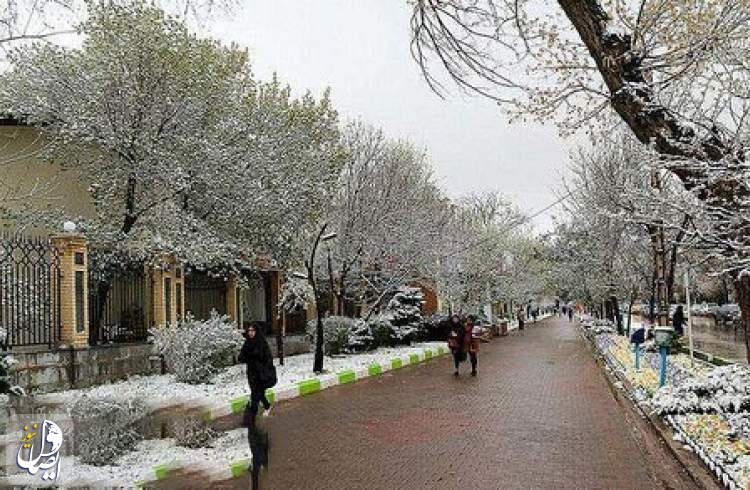 پیش بینی سازمان هواشناسی از برف و باران پنج روزه در ۲۹ استان