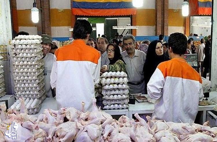 توزیع گسترده مرغ منجمد با قیمت مصوب در سراسر کشور