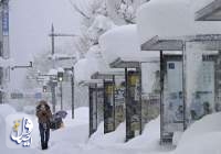 بارش سنگین برف در ژاپن، ۱۰ کشته و صدها زخمی بر جای گذاشت