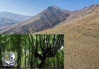 رشد ۲۳ برابری پوشش گیاهی در اصفهان تلاشی برای حفظ محیط زیست