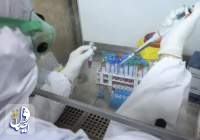 طرح تحقیقاتی درمان کووید ۱۹ با کمک شیر حاوی آنتی بادی در اصفهان