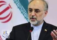صالحی جزئیات برنامه ایران برای تولید برق هسته‌ای را تشریح کرد