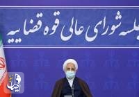 اژه ای: هیچ ایرانی که تبعه ایران و اکنون در خارج از کشور است، ممنوع‌الورود نیست
