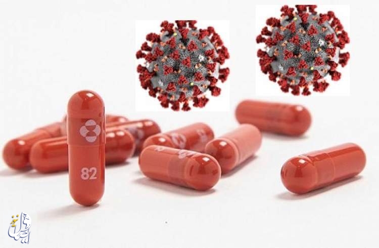 موفقیت چشمگیر یک قرص ضدکرونا در کاهش ۵۰ درصدی موارد بستری