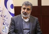 کمالوندی: آژانس انتشار اطلاعات ایران را متوقف کند