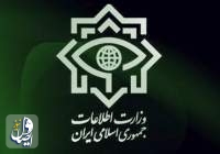 وزارت اطلاعات: پنج اخلالگر شاخص بازار ارز تهران دستگیر شدند