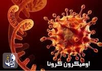 آمار رسمی مبتلایان به اومیکرون در ایران به ۳۴ نفر رسید