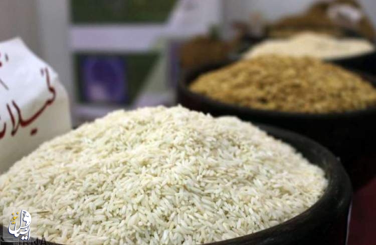کاهش ۱۰ هزار تومانی قیمت هر کیلو برنج ایرانی
