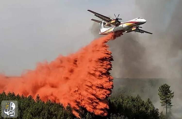 آتش‌سوزی بزرگ جنگل‌های کاج فرانسه را در بر گرفت