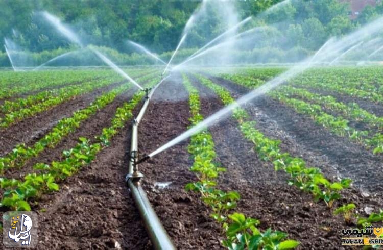 آب مورد نیاز برای آبیاری ۳۵ محصول کشاورزی پر کِشت در کشور اندازه گیری شد