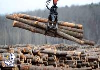 واردات چوب با پوست به کشور آزاد شده است