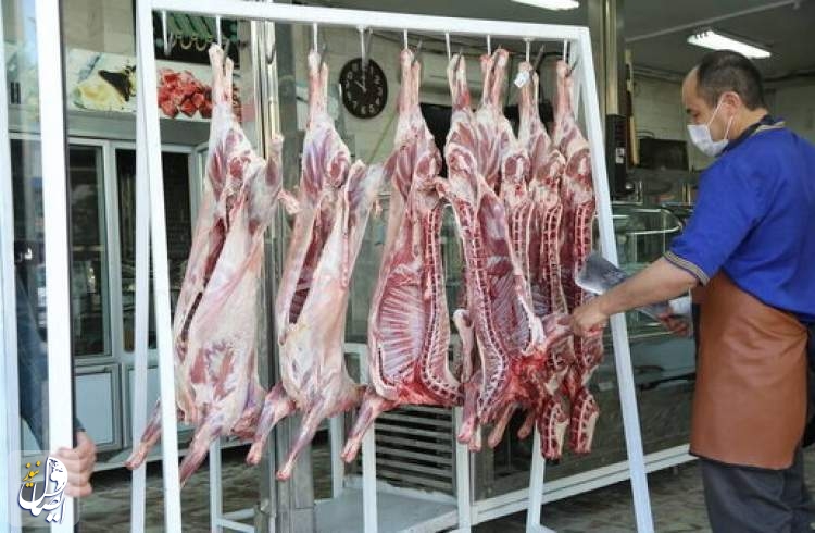 دولت به هشدارها توجه نکرد، گوشت گران شد