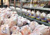 قیمت مصوب مرغ اصلاح می شود