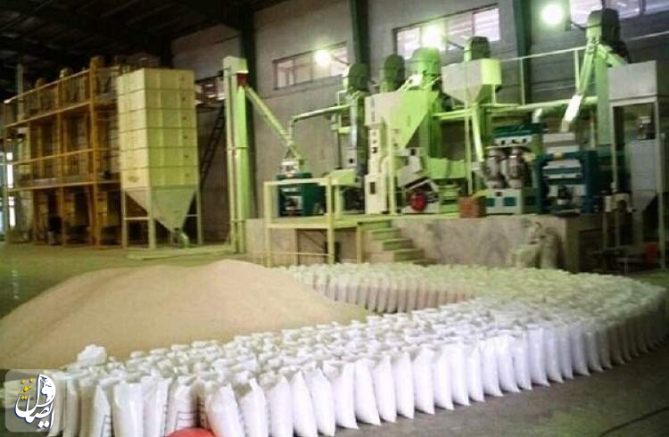 نماینده مردم آمل در مجلس: حدود 500 هزار تن برنج در شالی‌کوبی‌های شمال انبار شده است