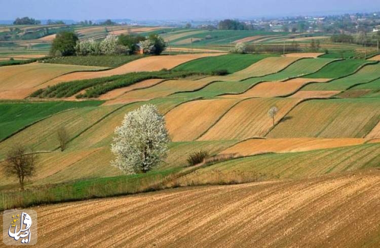۶۰ درصد از اراضی کشاورزی تا پایان سال جاری سنددار می‌شود