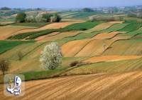 ۶۰ درصد از اراضی کشاورزی تا پایان سال جاری سنددار می‌شود