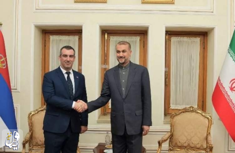 دیدار رئیس پارلمان جمهوری صربستان با حسین امیرعبداللهیان