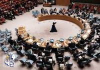 شورای امنیت سازمان ملل کودتا در نیجر را محکوم کرد