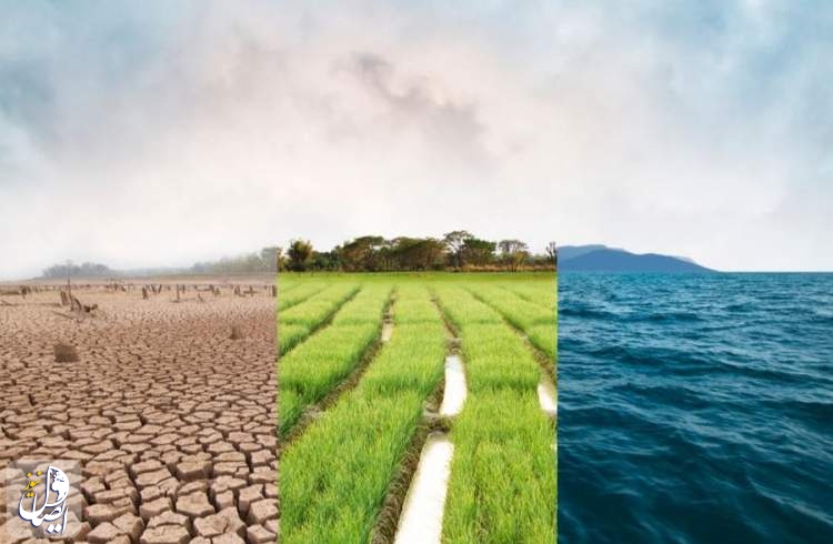 نشست تغییر اقلیم، کشاورزی و امنیت غذایی برگزار می‌شود