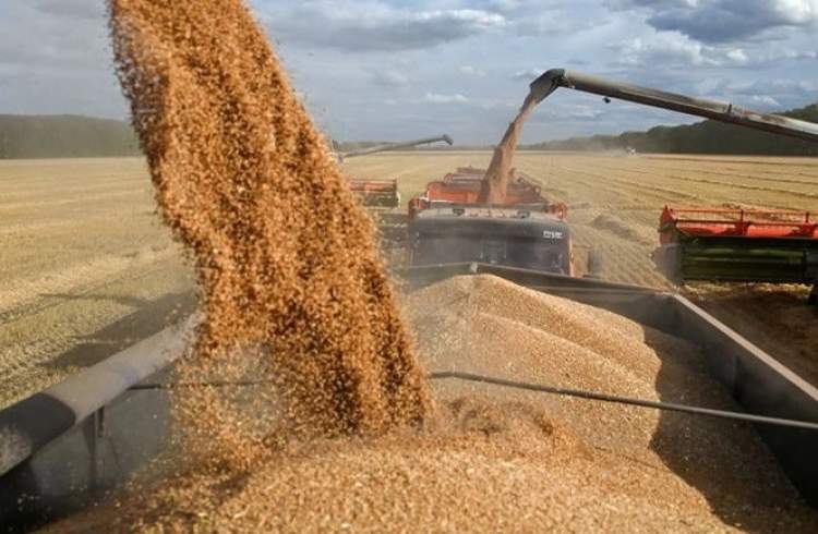 Russia completes grain deliveries to six poorest African countries
