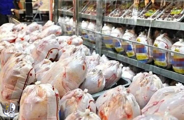 نگرانی در تامین، عرضه و توزیع مرغ در ماه رمضان و ایام عید وجود ندارد