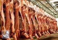 واردات روزانه ۲۰۰ تن گوشت کشتار شده بهداشتی از کراچی پاکستان