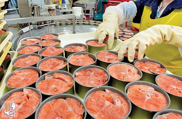 توزیع کنسرو ماهی با تخفیف ۲۰ درصدی در ماه رمضان و نوروز