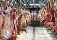 عرضه گسترده گوشت قرمز گرم در بازار