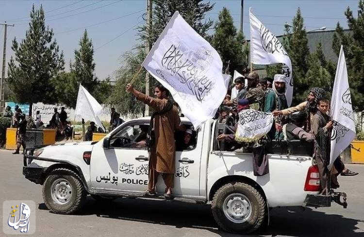 طالبان: کشت، تولید و قاچاق مواد مخدر در افغانستان ریشه‌کن شد